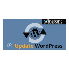 Best Update WordPress Techniques