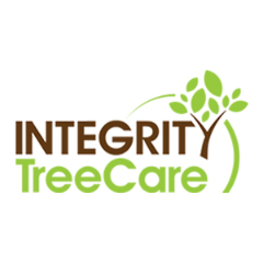 Outstanding Tree Services in Indian Trail